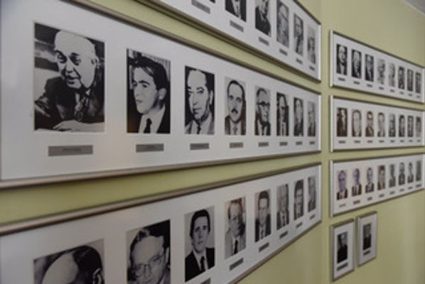 Sobre o Luz, Câmera, Gestão